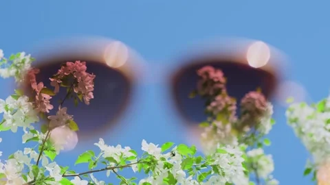 Looking from inside the sunglasses at flowering tree on the blue sky background. Stock Footage 302779832