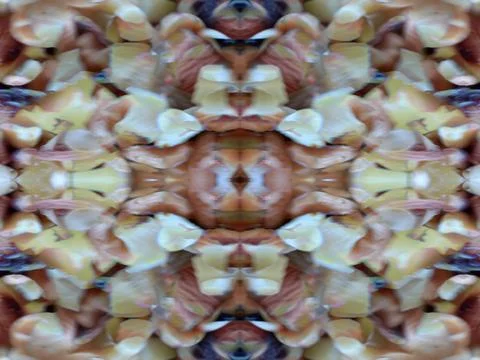Looking into a kaleidoscope Stock Photos