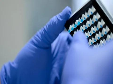 Looking at laboratory samples Vídeo Stock 75767371