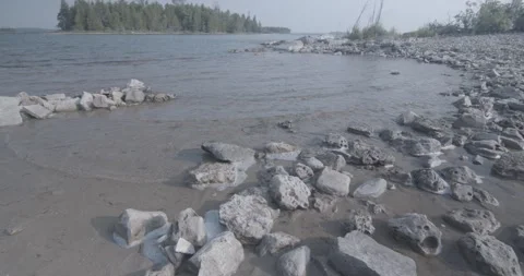 Looking at the lake in the Spring Stock Footage 323123739