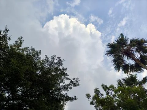 Looking up at a large fluffy white cloud Stock Photos