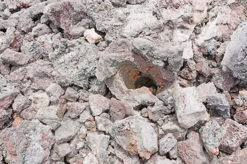 Looking into a lava tree mold Stock Photos