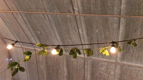 Looking Up Lights Canopy Stock Footage 97968195