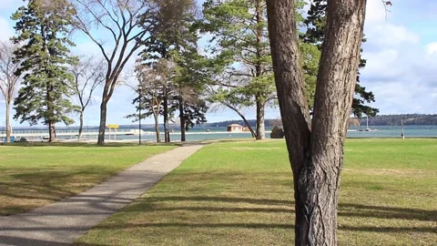 Looking at a lonely hilly beach from a close by street Stock-Footage 146616513