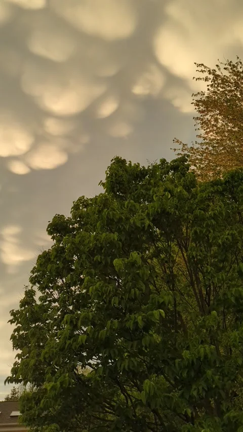 Looking up to the mammatus clouds Stock Footage 300195375
