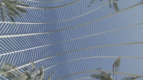 Looking up at modern building and palm trees Stockbeeldmateriaal 83536800