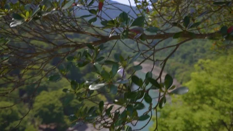 Looking at a Mountain River at Midday Stock Footage 111919383