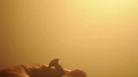 Looking at Nail 012323 Video stock 10750077