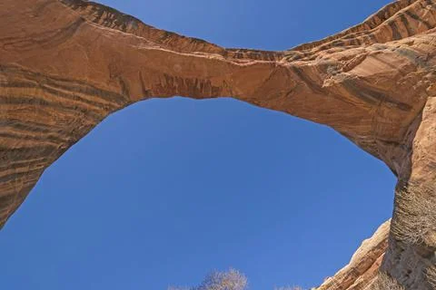 Looking Up at a Natural Bridge Фото
