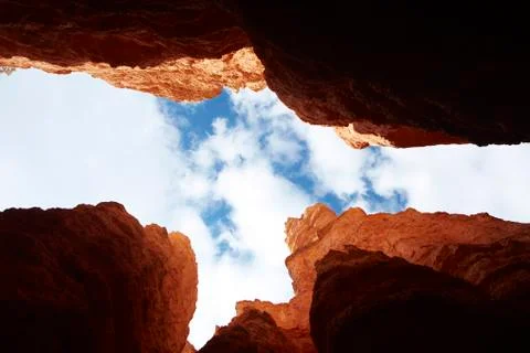 Looking up from Navajo Loop, Bryce Canyon National Park, Utah, USA Stock Photos