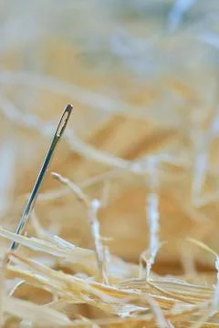 Looking for a needle in a haystack Free Stock Photos