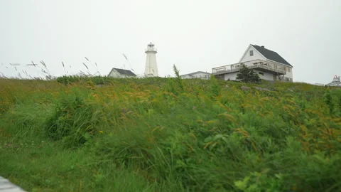 Looking up at the new lighthouse tower at Cape Spear National Historic Site Stock Footage 284681621