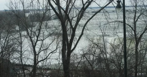 Looking at Niagara falls through the trees during winter cold day Stock Footage 229600418