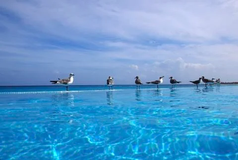 Looking At The Ocean From Infinity Pool Fotos de archivo