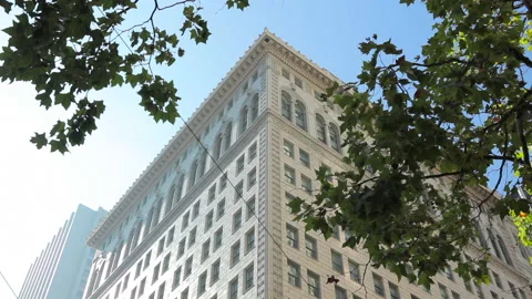 Looking up at old office building behind trees  Stock Footage 237194841