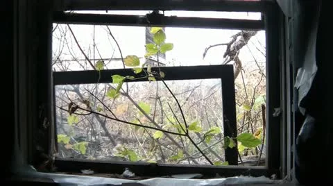 Looking out Abandoned Building Видео 12593376