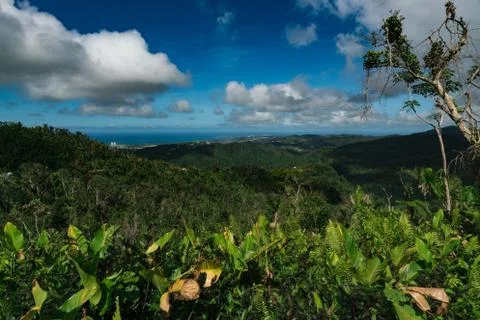 Looking out to the Atlantic - El Yunque National Forest Stock Photos