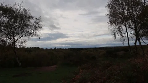 Looking out from Cannock Chase toward  Wrekin hill on the horizon. 스톡 동영상 81443956