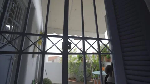 Looking out a closed and locked bar door to some plants and limited sky Stock Footage 257776368