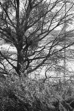 Looking out from the deck. Stock Photos