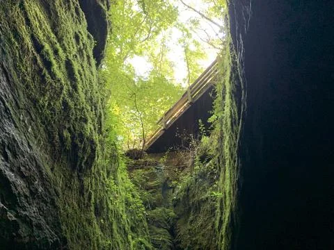 Looking out of the Devils Icebox Stock Photos
