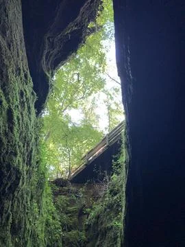 Looking out of the Devils Icebox Stock Photos