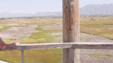 Looking out to an empty field of gold 库存影片 55420802