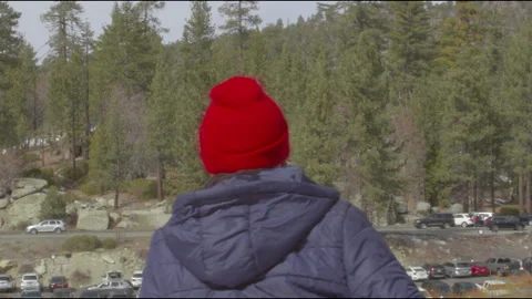 Looking out Stock Footage 240974575