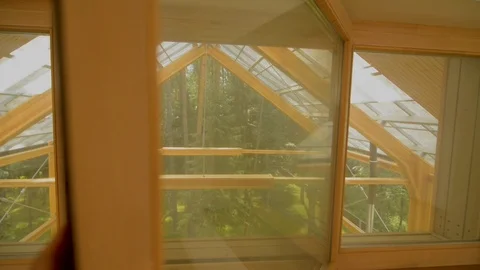 Looking out of house window Stock Footage 100954082