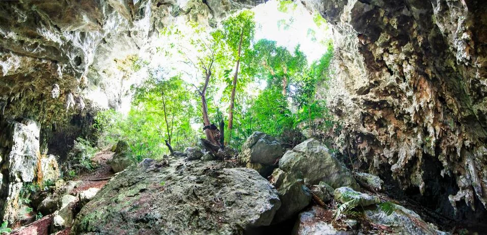 Looking out from inside a large cave in Belize Stock Photos