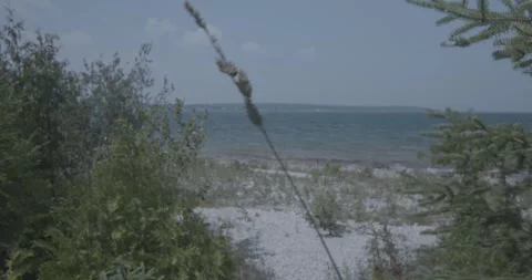 Looking out at the lake Stock Footage 323125421