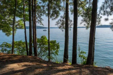 Looking out at the lake Stock Photos
