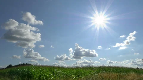 Looking out over cornfield - HD 4K+ Stock Footage 44643217