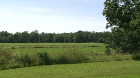 Looking out over field (1 of 4) Stock Footage 8981707