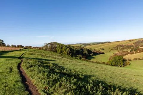 Looking out over fields and hills in the South Downs, on a sunny September .. Stock Photos