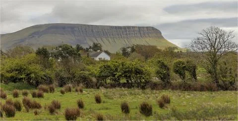 Looking out over fields and a forest at a flat top mountain Stock Photos