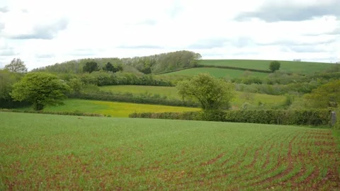 Looking out over fields in Torquay, Devon, England Video stock 154853992