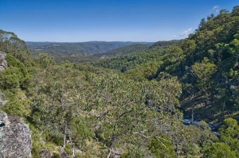 Looking out over the forests Stock Photos