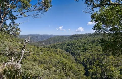 Looking out over the forests Stock Photos