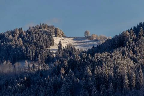 Looking out over the snowcapped valley in the golden hour Stock Photos