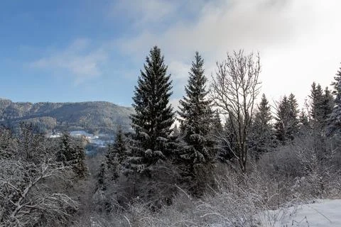 Looking out over the snowcapped valley in the golden hour Stock Photos