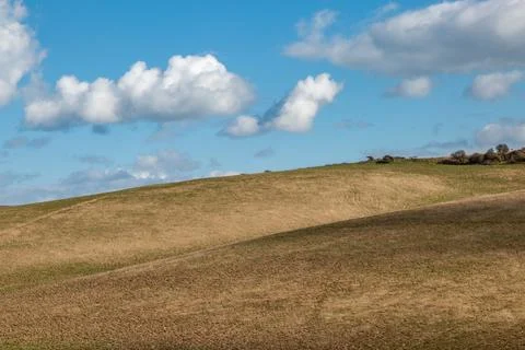 Looking out over a South Downs hillside, on a sunny day in March Foto stock