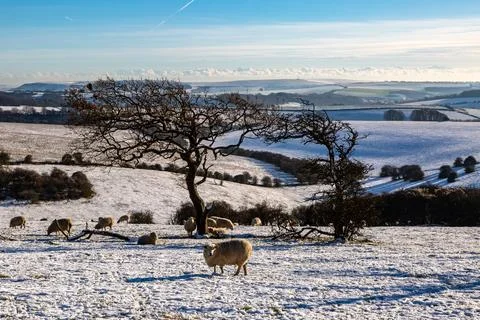 Looking out over the South Downs from Ditchling Beacon in Sussex, with snow.. Stock Photos