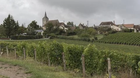 Looking out over a vineyard at a small French village Stock Photos