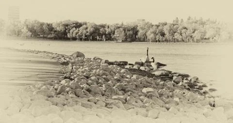 Looking out Stock Photos