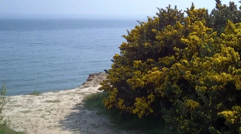 Looking Out To Sea In Springtime Vídeo Stock 8538758