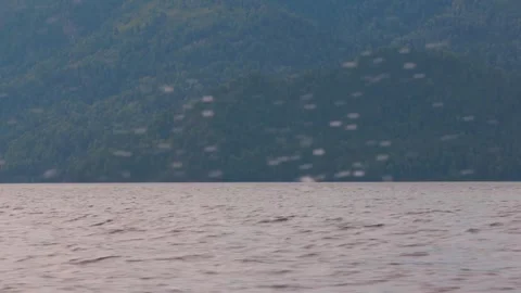 Looking out from the stern of a fast moving motor boat to it's large bright Video stock 278000115