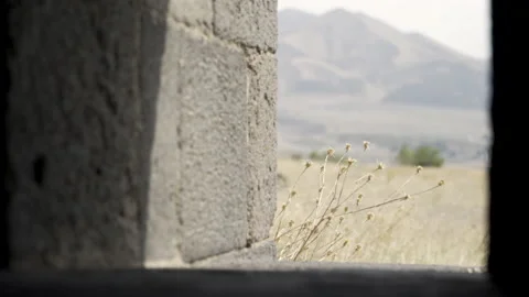 Looking out the stone window Stock Footage 219878554