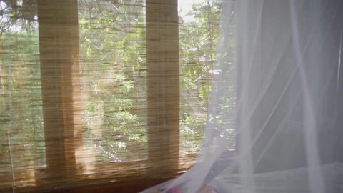 Looking out of a tropical window Video stock 105233365