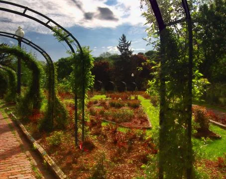 Looking out from under trellises Stock Photos